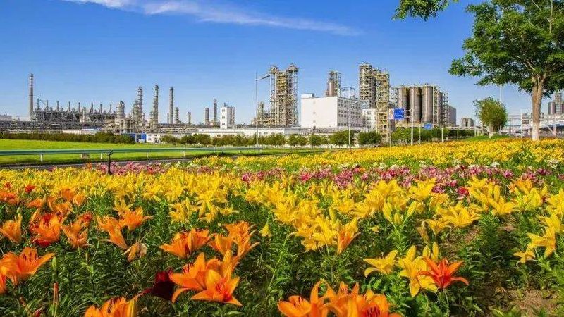 探寻浙江无机化工原料批发市场的奥秘